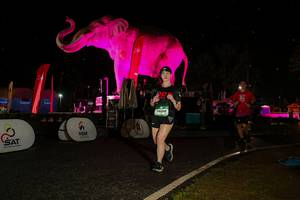 BIB: 
                            <button type="button" onclick="openModal(26534880)" class="btn btn-primary btn-sm float-right btn-popup" data-toggle="modal" data-target=".modal-high-quality">
                        <i class="fas fa-shopping-cart"></i> Add to Cart
                    </button>
                                            <button type="button" onclick="isThisMe(26534880, true)" class="btn btn-success btn-sm float-right btn-popup btn-isme hidden" data-toggle="tooltip" data-placement="bottom" title="นี่คือรูปของคุณใช่ไหม คลิกที่นี่เพื่อเอาเข้าอัลบั้ม">
                        <i class="fas fa-plus"></i> Add to album
                    </button>
                    <button type="button" onclick="isThisMe(26534880, false)" class="btn btn-warning btn-sm float-right btn-popup btn-isnotme hidden">
                        <i class="fas fa-ban"></i> Remove from album
                    </button>